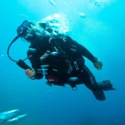 Combinaison Semi-étanche Femme Seac Masterdry 7mm -Seac combinaison semi etanche femme seac masterdry 7mm 9