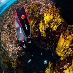 Palmes Seac Motus Camo Carbon 20 Palmes Seac Motus Camo Carbon -Seac palmes seac motus camo carbon 3