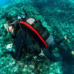 SEAC BCD Modular -Seac seac bcd modular 10