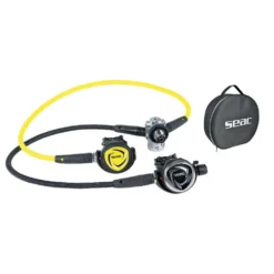 SEAC Ensemble De Régulateur DX200 ICE 300 DIN